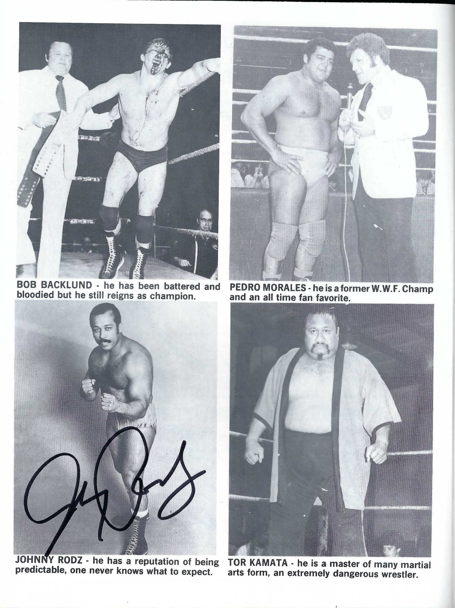 WWF2 1980 WWF Autographed Program Backlund , wild Samoans DeNucci , Patera , Zbyzsko , Rodz , w/COA