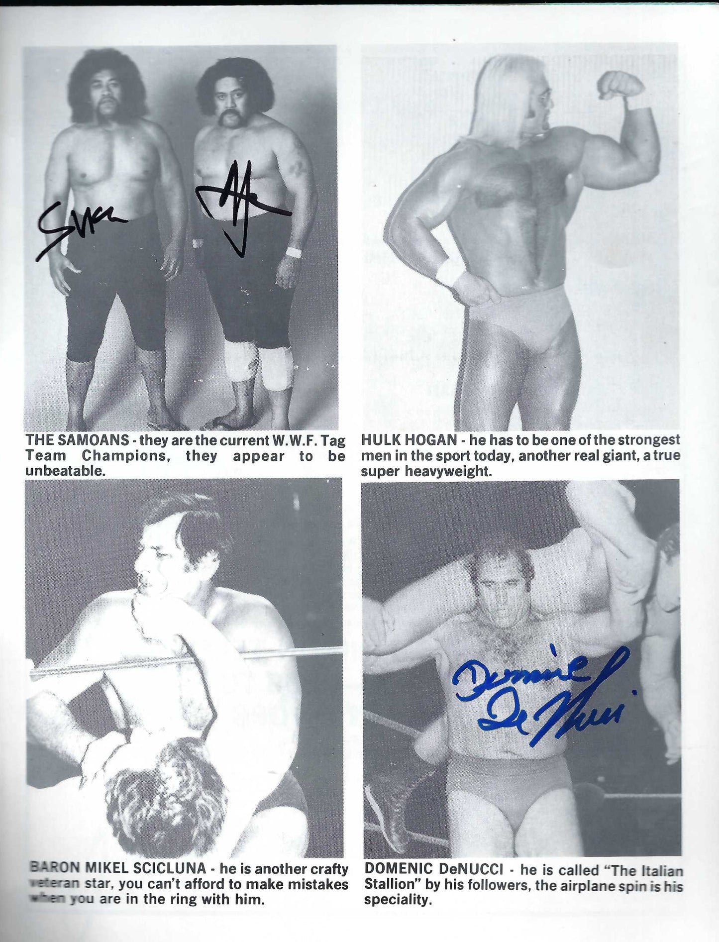 WWF2 1980 WWF Autographed Program Backlund , wild Samoans DeNucci , Patera , Zbyzsko , Rodz , w/COA