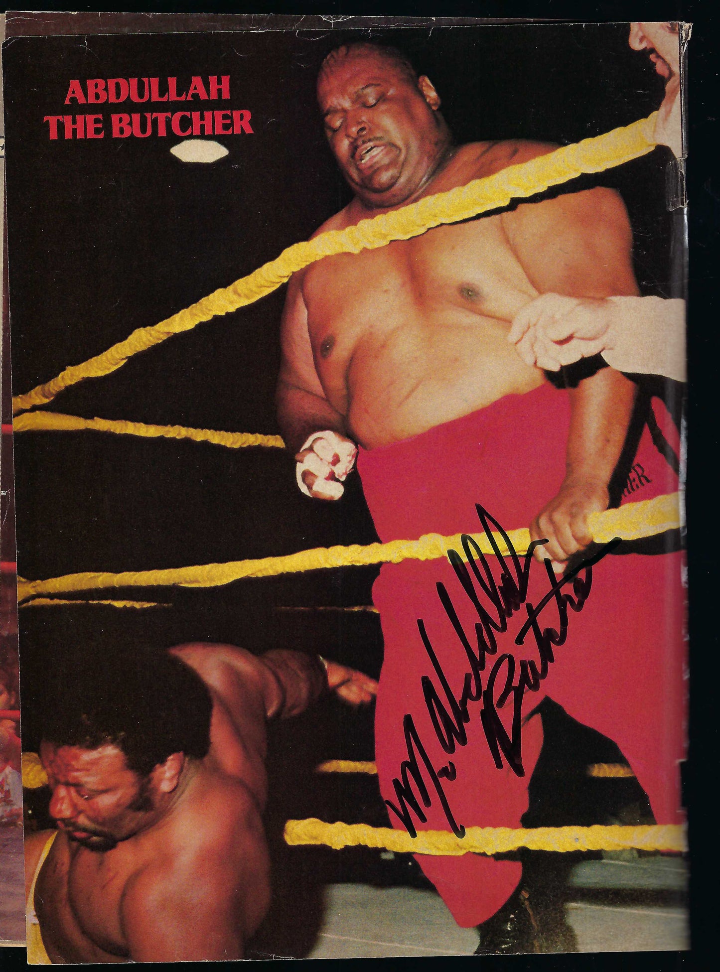 BD223  Road Warrior Animal  Jerry Lawler  Bob Backlund  Abdullah the Butcher Ric Flair   Autographed VERY RARE  Vintage Wrestling Magazine w/COA