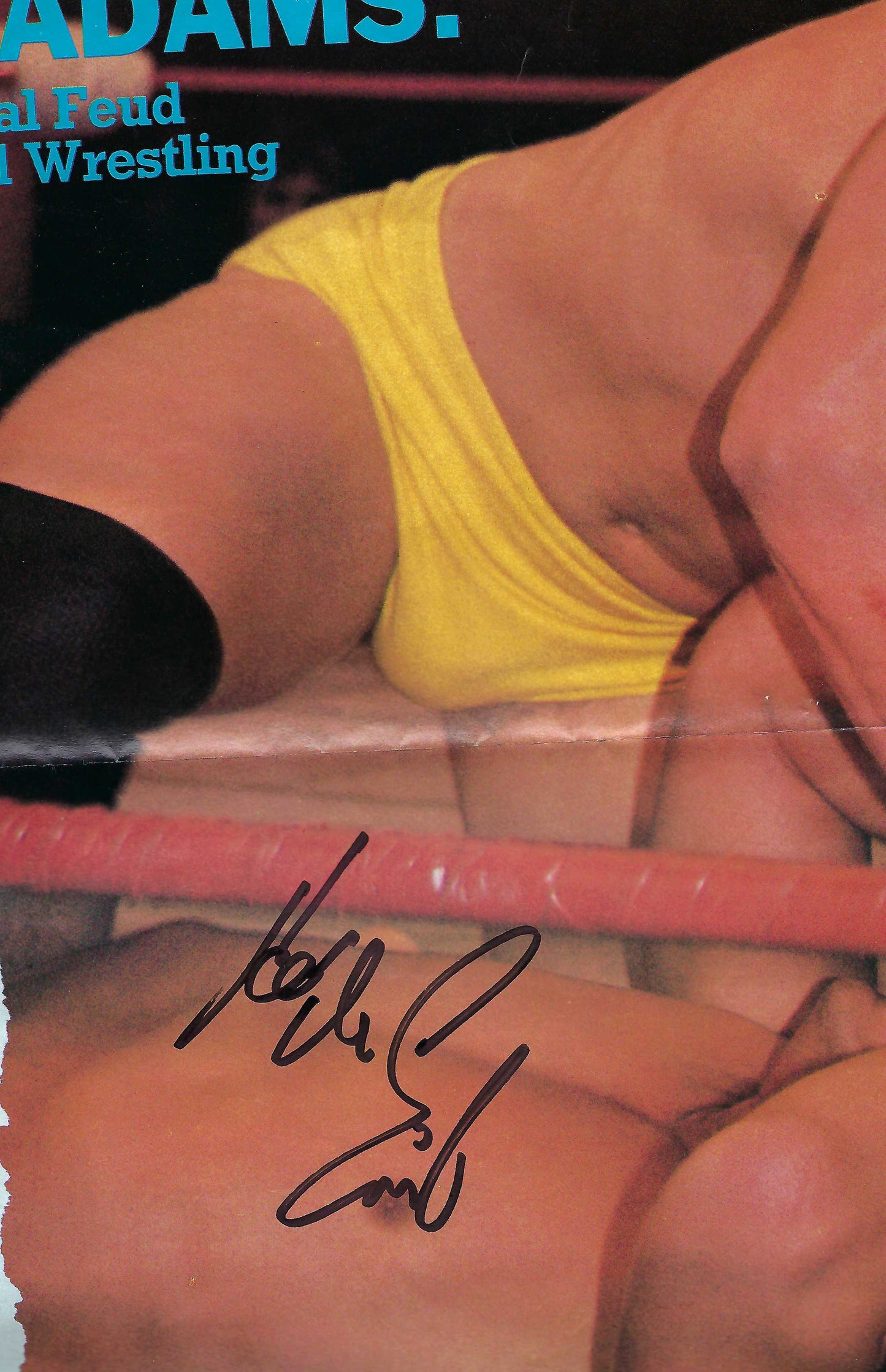 BM2  Hulk Hogan Kevin Von Erich Sgt. Slaughter  Billy Jack Haynes  Road Warrior Animal ( Deceased ) Autographed vintage Wrestling Magazine w/COA
