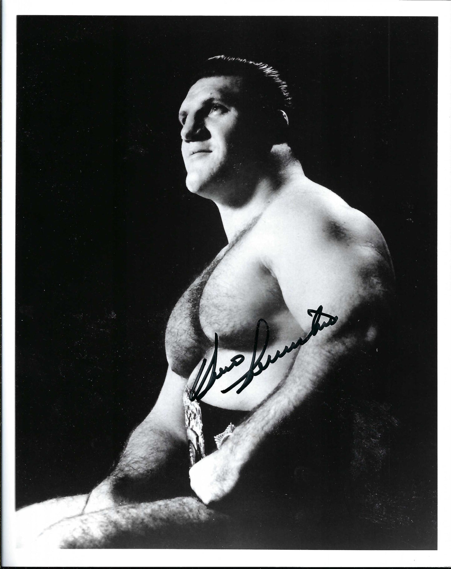 BRUNO GOD   The Living Legend Bruno Sammartino ( Deceased )  Autographed Wrestling Photo w/COA