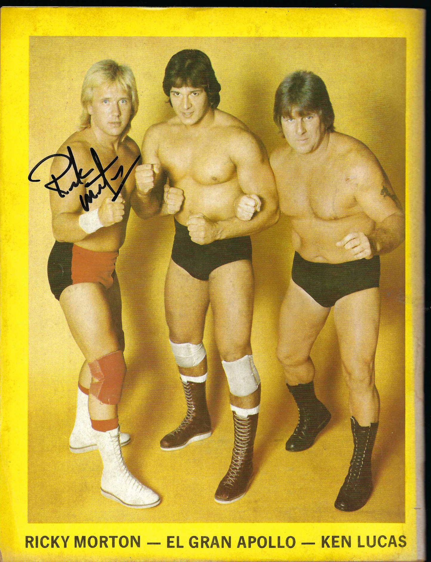 AM432  Ted DiBiase  Bob Backlund  Ricky Morton  Autographed Vintage Wrestling Magazine and Poster w/COA