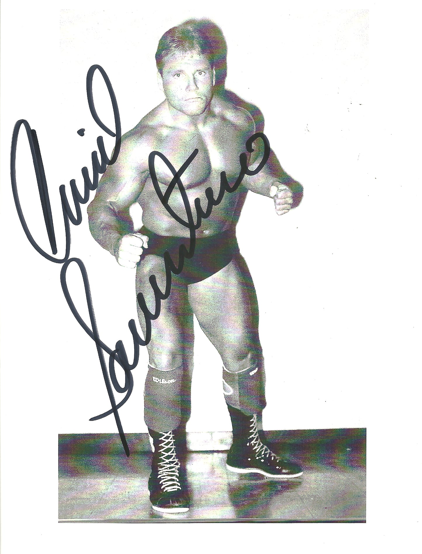 M272  David Sammartino Autographed Wrestling Photo w/COA