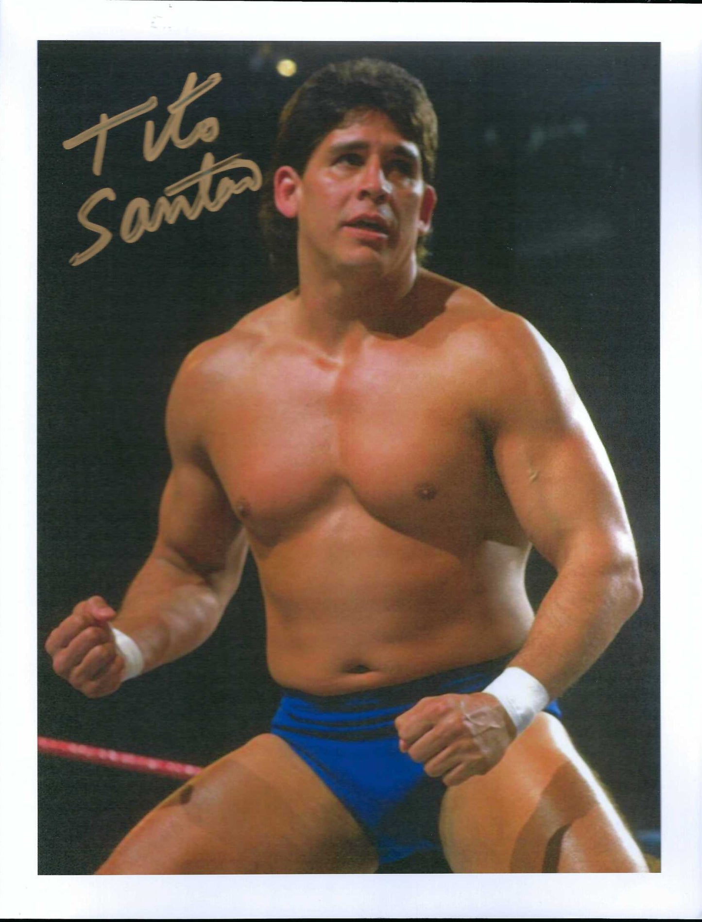 M3100  Tito Santana Autographed 8x10 Wrestling Photo w/COA